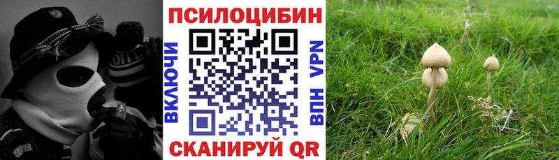 Купить  Пучеж  Галлюциногенные грибы ЛСД 